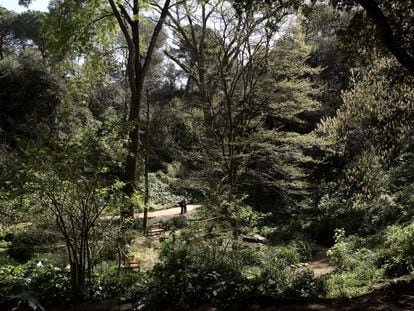 Antiguo jardín botánico de Barcelona.