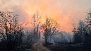Las llamas han devorado el bosque en una parte de la zona de exclusión alrededor de la central de Chernóbil (Ucrania), este domingo.