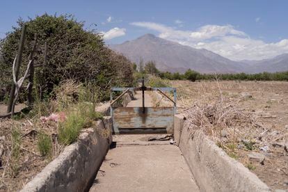 Según explica Adriana Thomasa, los adultos de Petorca recuerdan los tiempos en que todavía había agua en el río y podían plantar alubias, papas, trigo o sandía, alimentos que cosechaban para vender y para autoconsumo. "A finales de los 90, cuando los ríos se empezaron a secar, comenzaron los problemas", cuenta la fotógrafa. Ahí surgió la lucha de la comunidad, que durante muchos años sobrevivió con 50 litros por persona diarios con camiones aljibe. Durante la pandemia, esa cantidad se duplicó a 100 litros. Y algunos vecinos han conseguido tener agua de grifo dependiente de una aducción de un pozo. En la imagen, una acequia seca en terrenos de cultivos en Chincolco, Petorca.