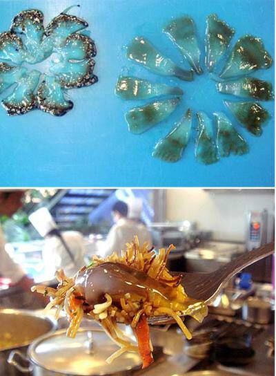 Platos con medusas: fideuá y el ingrediente marino en porciones antes de ser cortado.
