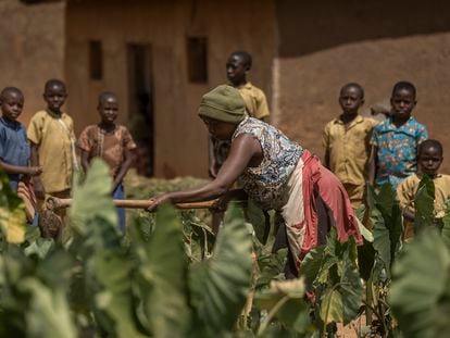 Una mujer trabaja la tierra rodeada de niños en una comunidad rural en el distrito de Nyanza, al sur de Ruanda, el pasado mes de junio.