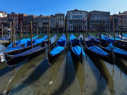 El confinamiento ha detenido el tráfico acuático en Venecia y el agua se ha vuelto transparente.