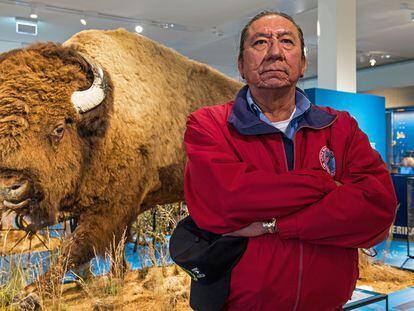 Ernie LaPointe, bisnieto de Toro Sentado, posa junto a un bisonte disecado en un museo de Bremen (Alemania), en 2016.