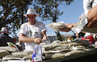 Numerosas personas que trabajan en oficinas de la zona aprovecharon para hacerse de yerba mate.