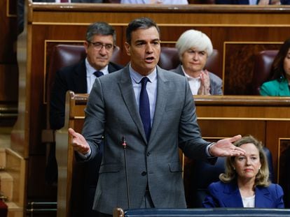 El presidente del Gobierno, Pedro Sánchez, en el Congreso de los Diputados en Madrid.