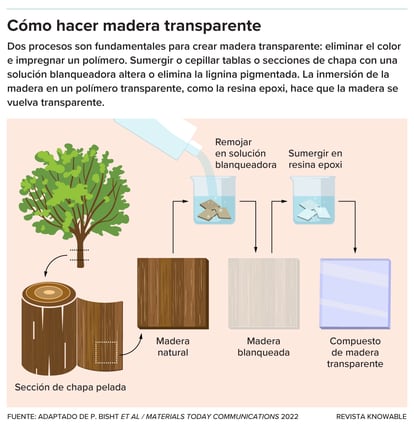 Several species of trees have been studied to make transparent wood, such as balsa, rubberwood, birch, pine and poplar.