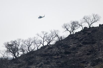 En el útimo año y medio, este entorno natural ha sufrido una veintena de incendios. Este último se ha producido casi en su totalidad en la localidad de El Castillo de las Guardas y ha arrasado más de 1.500 hectáreas.