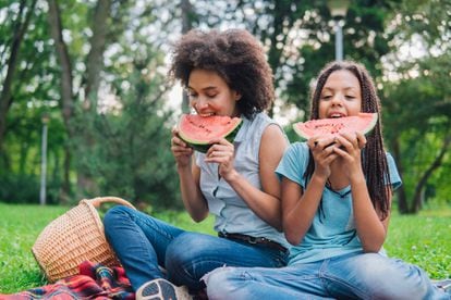 Dos Pediatras en Casa - El Plato de Harvard nos ayuda a plantear comidas  saludables a nuestros hijos. Este es un ejemplo de una de nuestras cenas  para un niño de 2