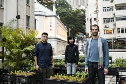 Michelle Hong, centro, Andrew Tsui, izquierda y Pol Fabrega, derecha, posan para un retrato en mitad del huerto urbano del terrado del mítico club The Fringe en el distrito de Central de Hong Kong el 13 de febrero de 2016 en Hong Kong, China.