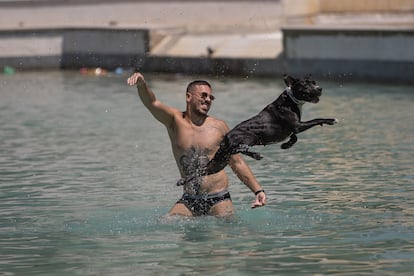 A young man plays with his dog in the artificial pond of the Espanya Industrial Park.  / ALBERT GARCIA