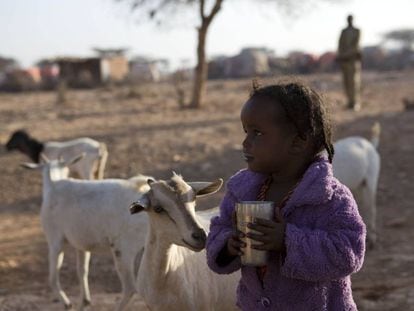 Una niña desplazada interna en Somalia debido a una sequía en su aldea, Qardho, donde las familias viven de la agricultura y la ganadería. 