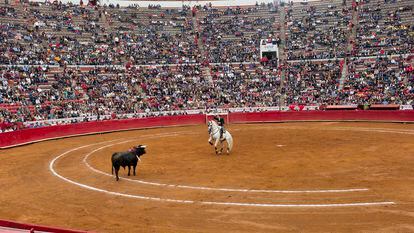 Una corrida de toros en la Plaza México, el 3 de noviembre de 2019.