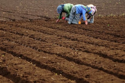 Un grupo de agricultoras en Chimaltenan​go, una zona rural de Guatemala.