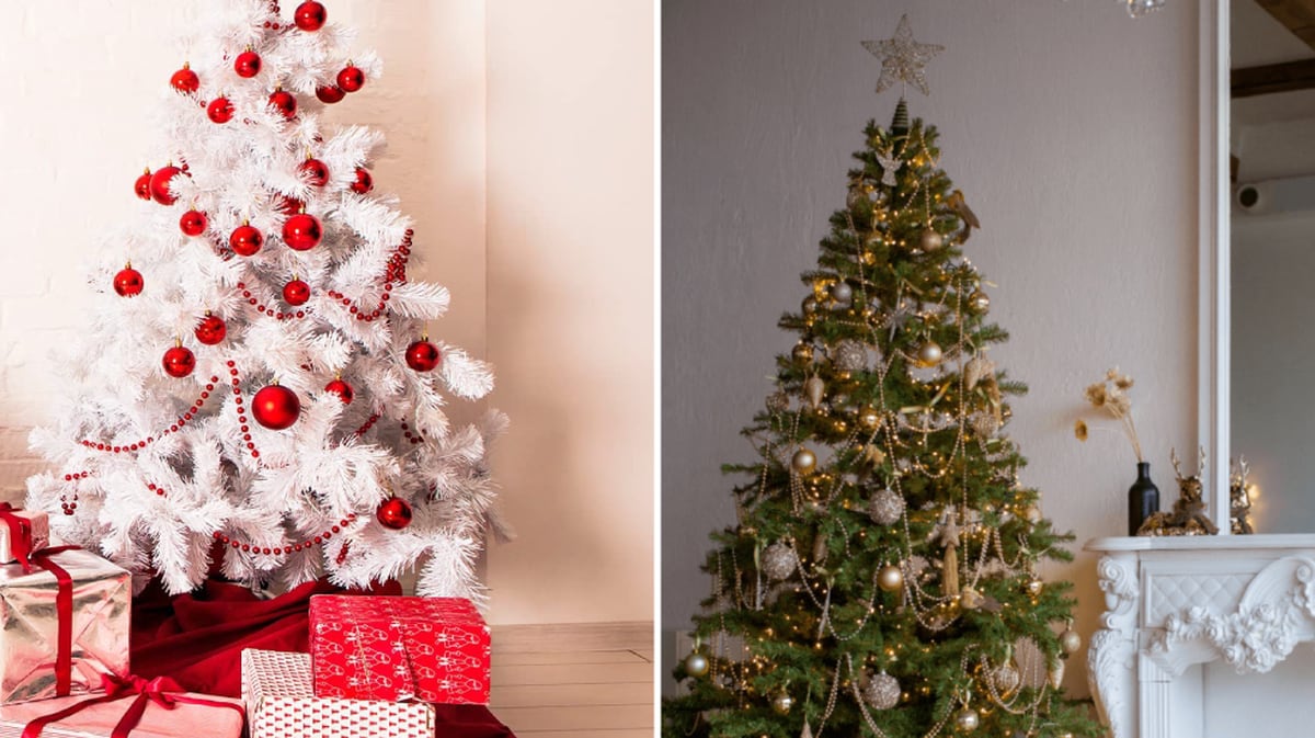 The best-selling Christmas tree on Amazon has a glitter effect, is easy to assemble and is available in four sizes |  Showcase
– News X