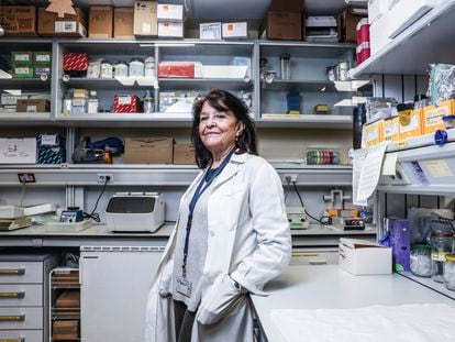 Marisa Toribio, jefa del departamento de Biología Celular e inmunología del Severo Ochoa, el pasado 15 de diciembre en su laboratorio.
