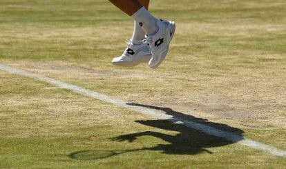 David Ferrer, en su partido contra Berdych.