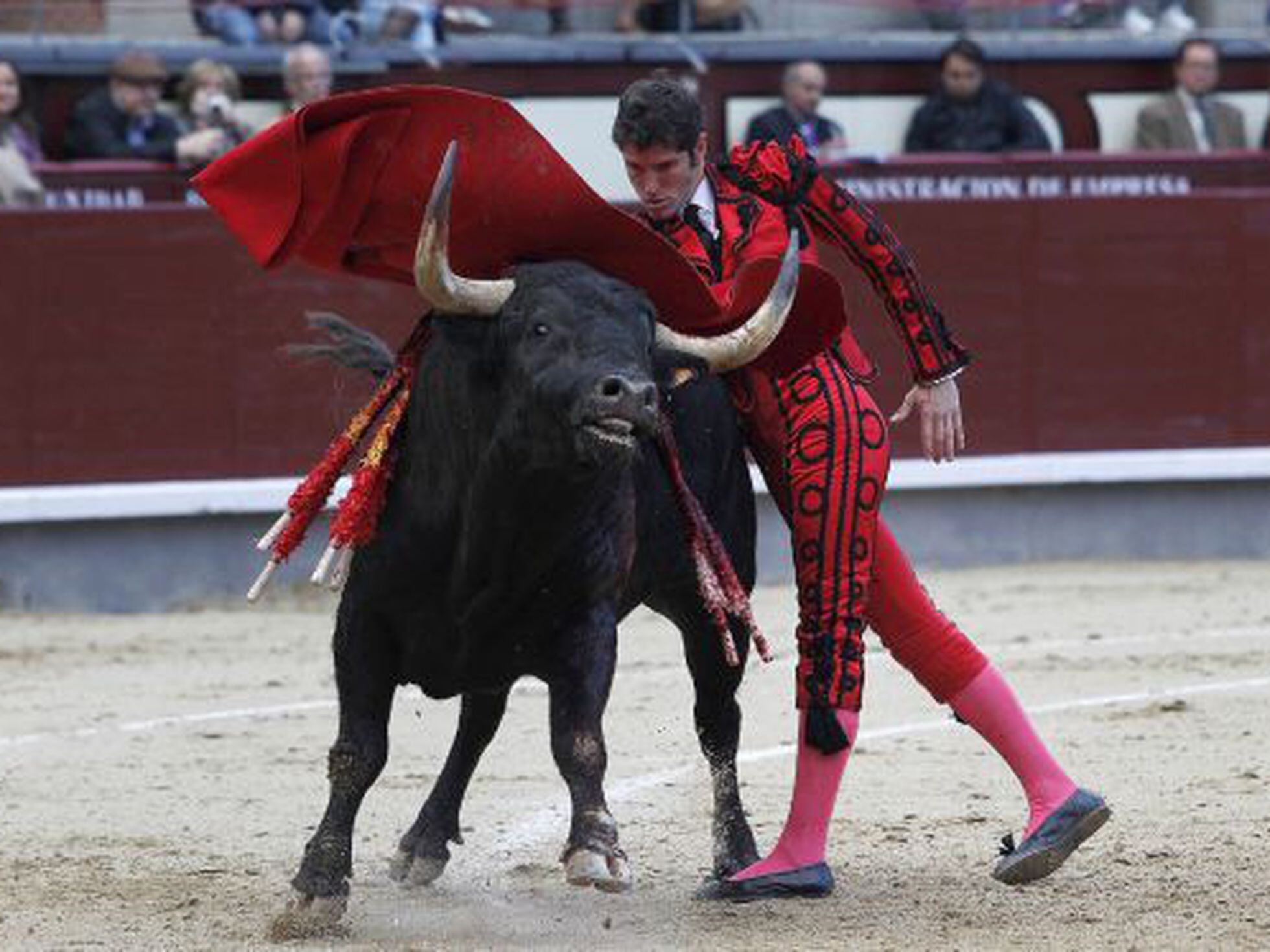 Banderillas goyescas profesionales para torero | Boutique del Torero