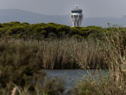 La torre de control del aeropuerto de El Prat junto a la laguna del espacio natural de la Ricarda.