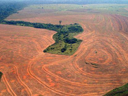 Vista aérea de bosques roturados en Novo Progreso (Brasil) para plantar soja.