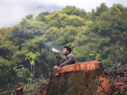 Un indígena guaraní fuma una pipa junto a un árbol talado por desarrolladores en Sao Paulo.