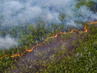 Un incendio en la Amazonia, la mayor selva tropical del mundo, que sufre una expansión del crimen organizado.