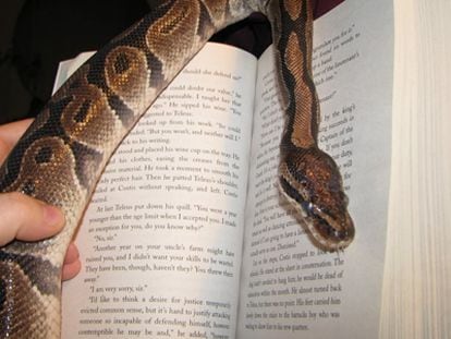 Una serpiente junto a un libro.