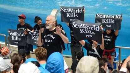 El actor James Cromwell, durante la protesta de PETA contra el espectáculo de orcas en el SeaWorld de San Diego.