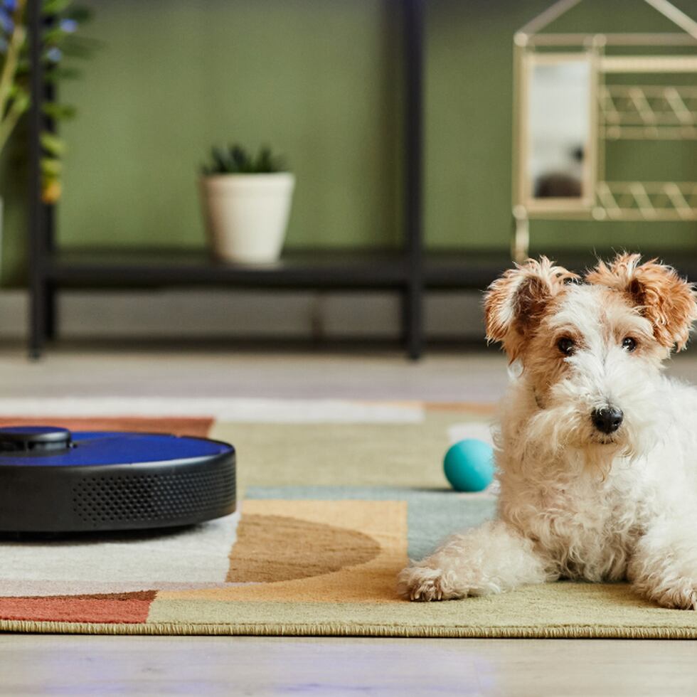 Nos olvidamos de barrer con este robot aspiradora Roomba, ahora un 40% más  barata en  (más aún si tienes mascotas)