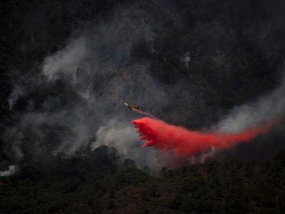 Un avión participa en las labores de extinción del fuego en Sierra Bermeja, Málaga, este viernes.