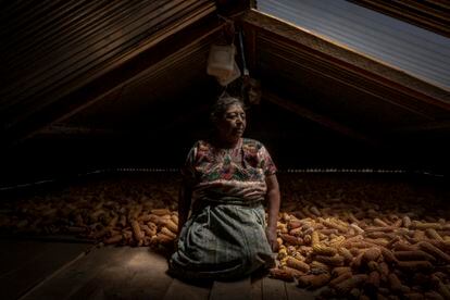 Juana, una mujer maya de la aldea de Tuilelen, en Comitancillo (Guatemala) descansa en su hogar.