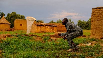 Un cazador de mosquitos en Bana.