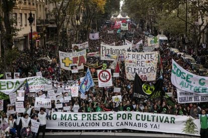 Madres y cultivadores se movilizan juntos por primera vez en la edición porteña de la marcha mundial de la marihuana.