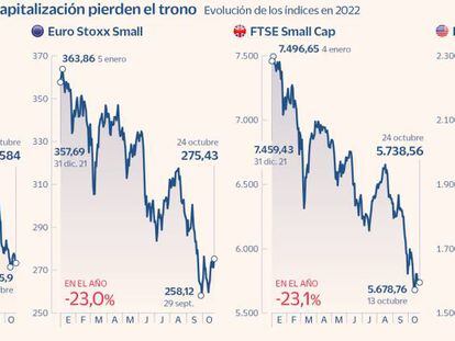 Las cotizadas más pequeñas encaran su peor año desde la crisis financiera