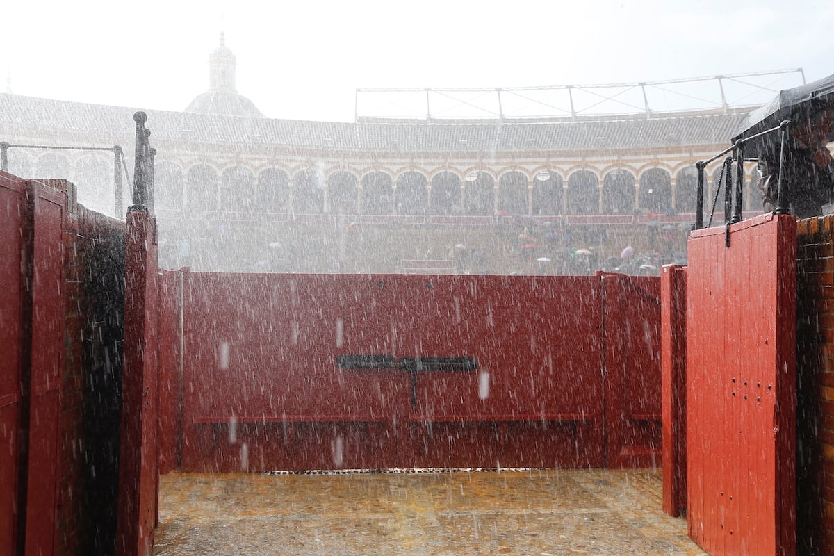 Claroscura inauguración | Cultura | EL PAÍS
