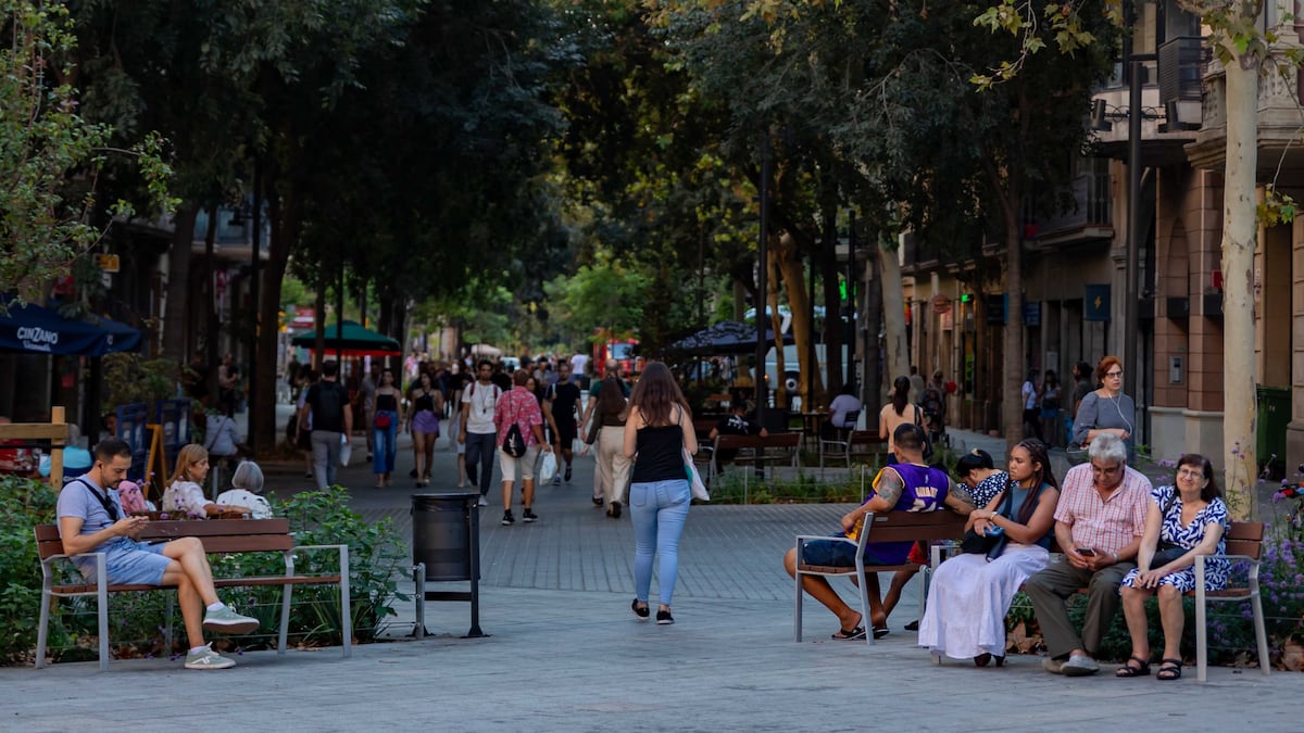 La guerra contra el verde en Barcelona | Clima y Medio Ambiente