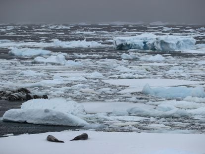 El deshielo de la Antártida (en una imagen del pasado febrero) es uno de los efectos del calentamiento global de los océanos.