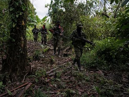 Integrantes del ELN en la selva del noroeste de Colombia, en 2017.