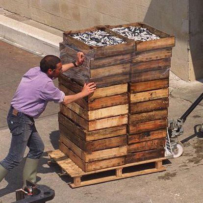Dos personas trasladan cajas de anchoas en Lekeitio hace cuatro años.