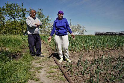 Olga Muja, de 66 años, junto a un vecino en el huerto de su casa de la aldea de Ostriv (provincia de Dnipropetrovsk), a orillas del río Dniéper y frente a la central nuclear de Zaporiyia, ocupada por los rusos desde marzo de 2022.