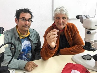 César Laplana y Enrique Baquedano con el molar de 'Mimomys savini'.