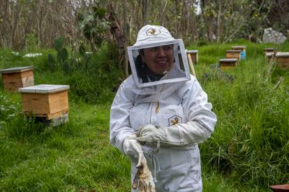 Sandra Corales en los apiarios de abejas de barrio. 