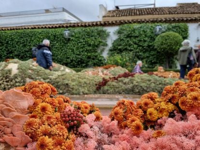 Líquenes setas y musgo en la instalación de Cordero Atelier en el festival FLORA 2022, celebrado en Córdoba.