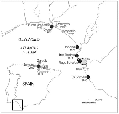 Localizaciones de la 'Oenothera drummondii' en España. Las fechas hacen referencia al primer registro en esa ubicación. El área de la primera introducción de la especie en el golfo de Cádiz aparece marcada con un óvalo gris. Los círculos grises identifican las poblaciones registradas, mientras que los círculos negros indican las poblaciones de las que se recogieron muestras, frutos o restos fecales con semillas.