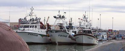 Barcos de Barbate, amarrados a puerto.