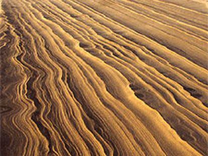 Dunas en el parque nacional de Doñana.