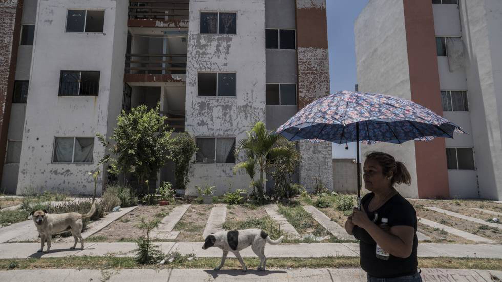 Vivir entre cascajos: el desafío de millones de casas vacías en México |  Sociedad | EL PAÍS