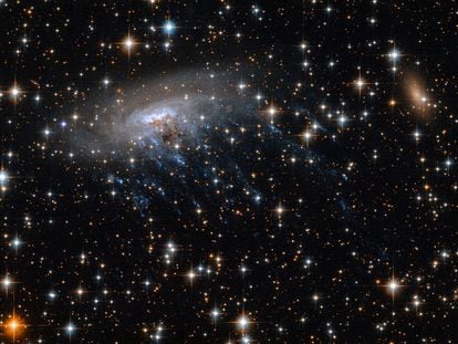 La galaxia espiral ESO 137-001 es un ejemplo de una galaxia 'medusa',