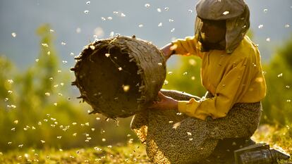 Hatice Muratova en una imagen de 'Honeyland'.