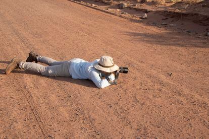 Un investigador fotografía a una culebra.