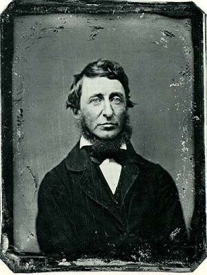 Henry David Thoreau.